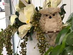 -武夷山旧街壹号溪岸旅馆(三姑度假区店)