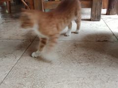 -龙达温泉生态城