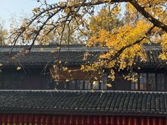 -龙华素斋(龙华路店)