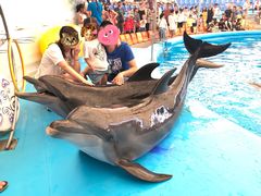 -尼莫海豚馆