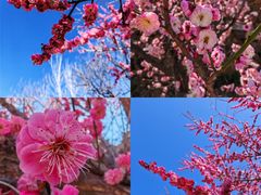 -汉长安城未央宫国家考古遗址公园