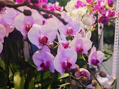 -百荣世贸商城
