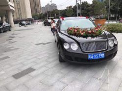 -蚂蚁婚车