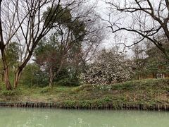 -烟水渔庄餐厅(西溪湿地店)