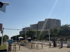 -碧海金沙