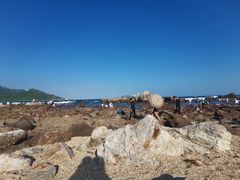 -西涌国际滨海旅游区