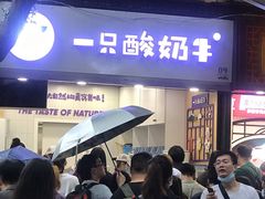 等位区-一只酸奶牛(八一路店)