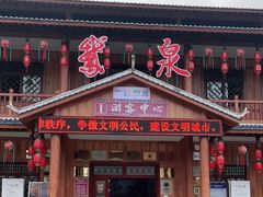 -靖西鹅泉风景区