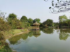 -张坝桂圆林公园