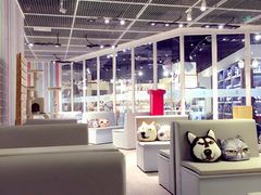 iphone_upload_pic-小时光咖啡馆(开森度假森林店)