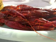 -霸王虾·麻辣小龙虾(清水河公园店)