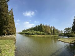 -黄海国家森林公园