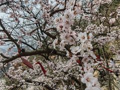 -天津盘山风景名胜区