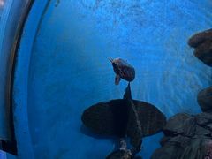 -常州海昌海洋探索馆