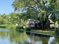 -上海共青森林公园