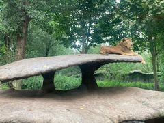 -北京野生动物园