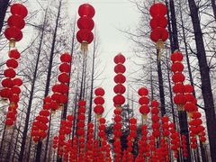 -东平国家森林公园