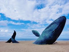 -烟台金沙滩海滨公园