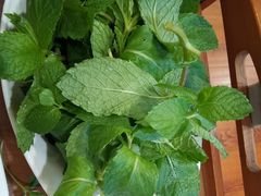 薄荷-子睦小庖丁鲜牛屋(财富中心店)