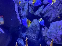 -成都浩海立方海洋公园