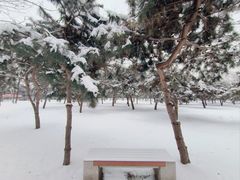 -天元公园