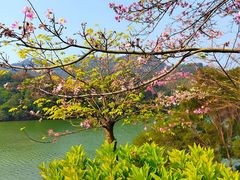-柳侯公园