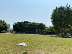 -文华公园(禅城区)