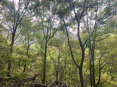 -伴山茶苑·围炉煮茶