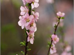 -哈尔滨师范大学(江南校区)