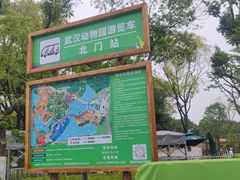 -武汉动物园