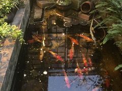 -花影小筑餐厅