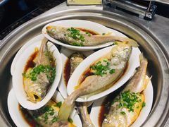 广式蒸黄鱼-温州王朝大酒店-自助餐厅
