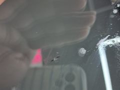 -北京福耀玻璃(总店)