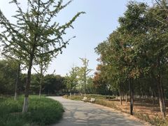 -永定河休闲森林公园