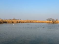-盐城丹顶鹤湿地生态旅游区