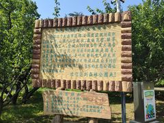 -金龙寺国家森林公园
