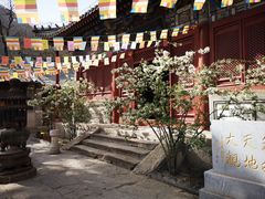 -北京上方山国家森林公园