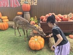 -盈香心动乐园