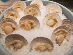-沈阳和平艾美酒店新食谱西餐厅