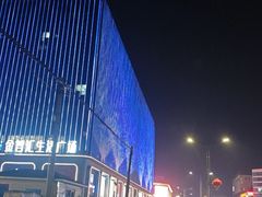 -北京饭店