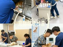 -康成宠物医院24H·CT·核磁共振