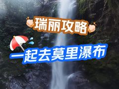 -莫里热带雨林景区
