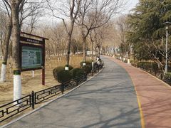 -大兴滨河森林公园