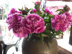 -园林美食城·本土农家菜(杨和镇店)