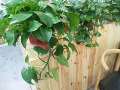 -老长春肉馆(创业大街店)