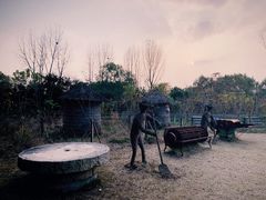 -溱湖国家湿地公园