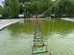 -东方巨龟苑景区