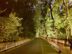 -岳麓山风景名胜区