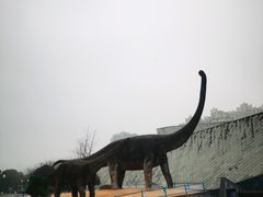 -安徽省地质博物馆