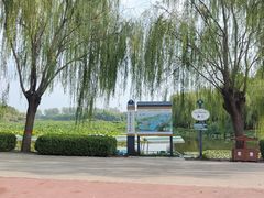 -白洋淀风景区